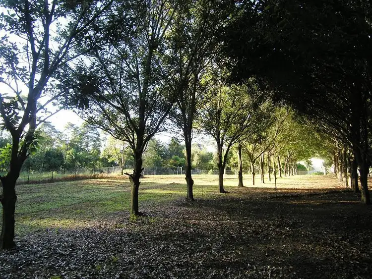 Fourth view of Homely house listing, 64 Butlers Road, Bonville NSW 2450