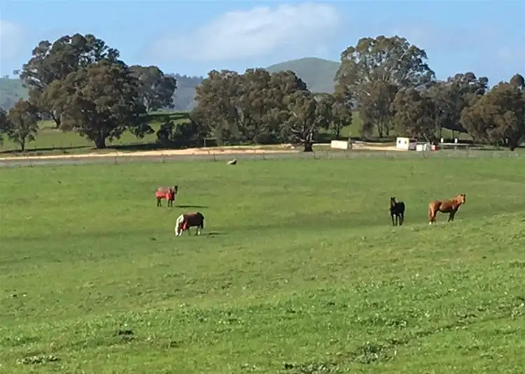 Third view of Homely rural property listing, 696 Ararat - St Arnaud Road, Crowlands VIC 3377