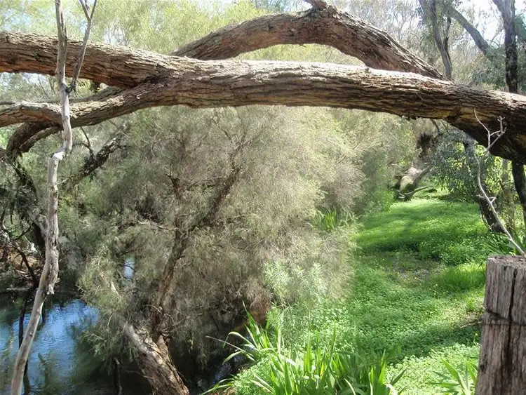 Seventh view of Homely land listing, Lot/203 Reen Road, Gidgegannup WA 6083