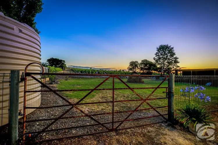 Fourth view of Homely house listing, 111 Douglas Gully Road, Mclaren Flat SA 5171