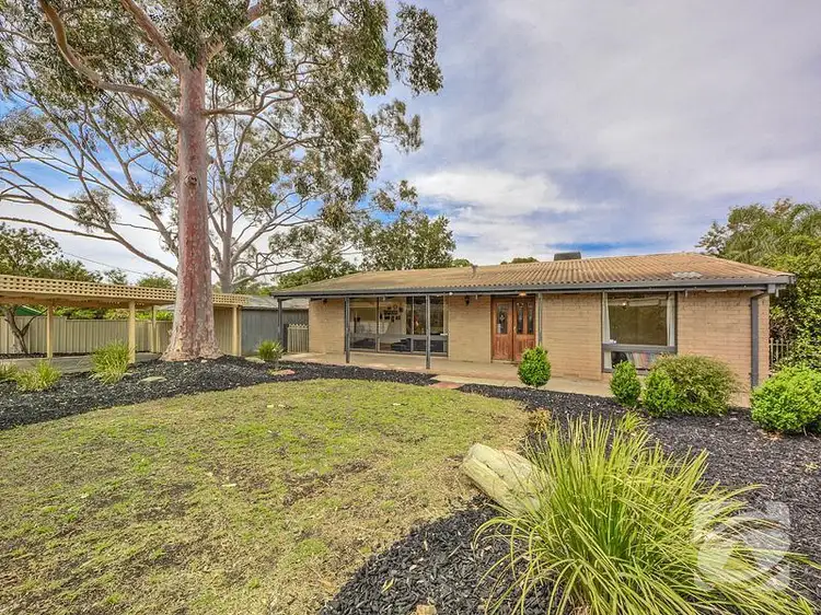423 Yatala Vale Road, Surrey Downs SA 5126