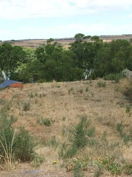 Third view of Homely land listing, 85 Preiss Street, Mannum SA 5238