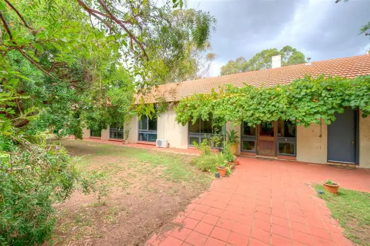 49 Wilpena Avenue, Vale Park SA 5081