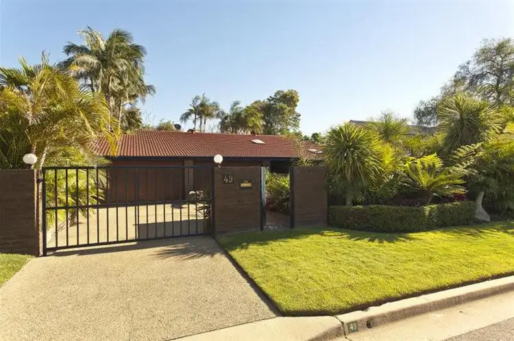 Main view of Homely house listing, 49 Willow Tree Crescent, Belrose NSW 2085