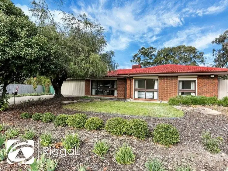 158 Lower Athelstone Road, Athelstone SA 5076