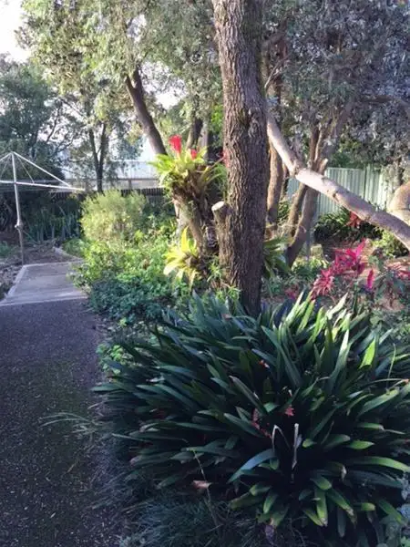 Fifth view of Homely house listing, 188 Denison  Street, Hamilton NSW 2303