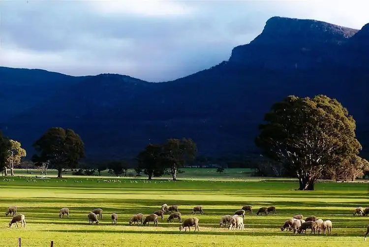 Fourth view of Homely rural property listing, 2897 Ararat-Halls Gap Road, Pomonal VIC 3381