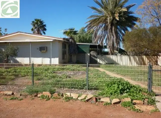 46 Watson Street, Mount Magnet WA 6638