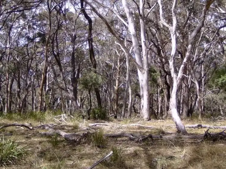 Fifth view of Homely rural property listing, 804 Mt Vincent Road, Ilford NSW 2850