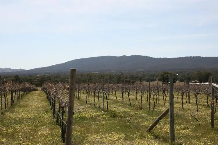 Third view of Homely rural property listing, 143 Riflebutts Road, Landsborough VIC 3384