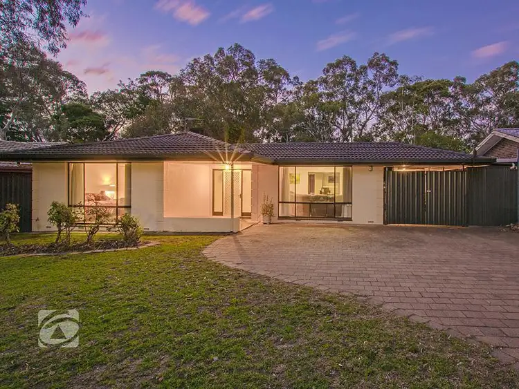 14 Palmer Street, Fairview Park SA 5126