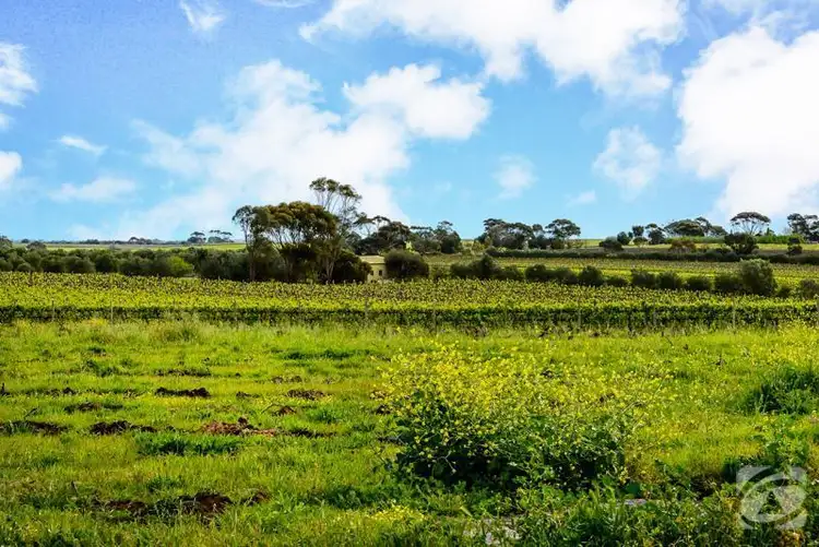 Third view of Homely land listing, Lot 21 Pethick  Road, Mclaren Vale SA 5171