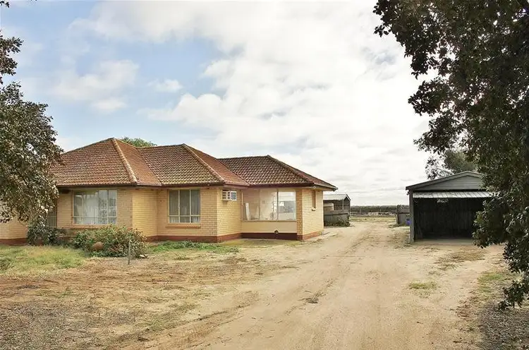 Main view of Homely house listing, 186 Shellgrit Road, Two Wells SA 5501