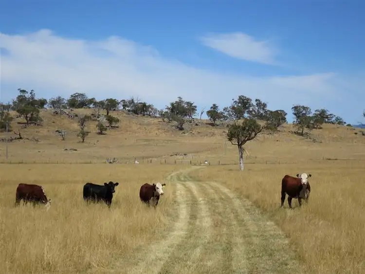 Third view of Homely land listing, Lot 8 Avonside Road, Avonside NSW 2628