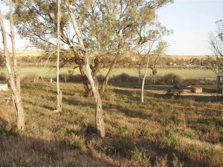 9 Lagoon View Drive, Walker Flat SA 5238