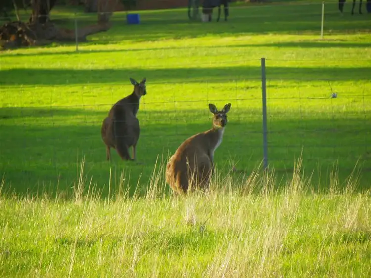 Fifth view of Homely land listing, 296 Silver Star Court, Albany WA 6330
