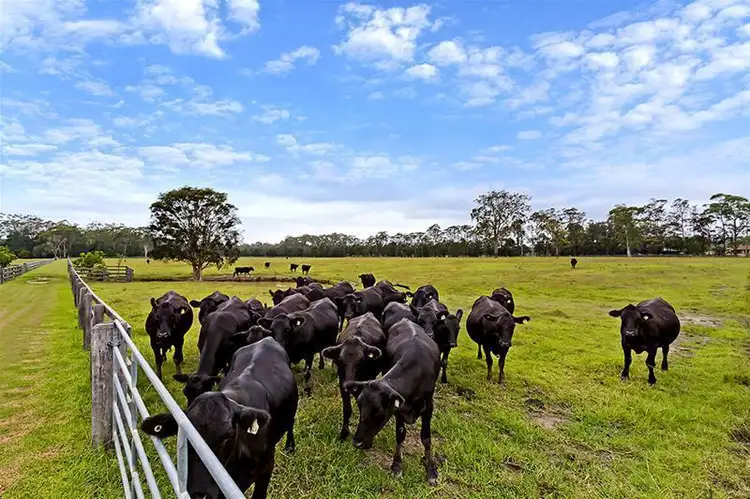 Fifth view of Homely rural property listing, 33 Dunks Ln, Jilliby NSW 2259
