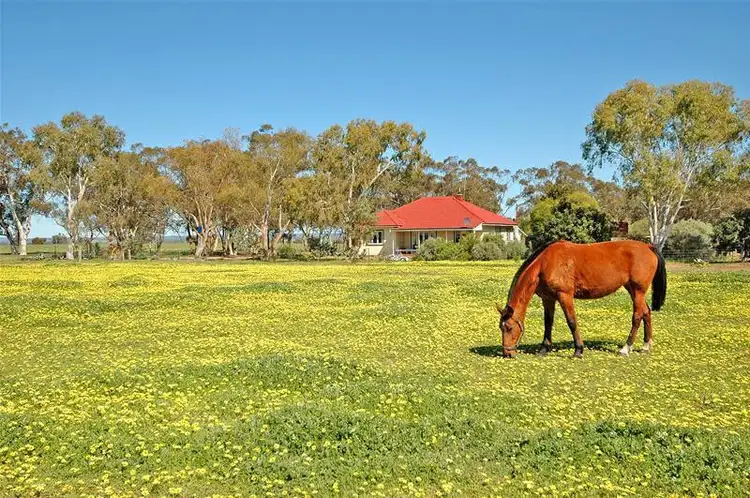 Third view of Homely rural property listing, 4876 Bindi Bindi -Toodyay Road, Wyening WA 6568