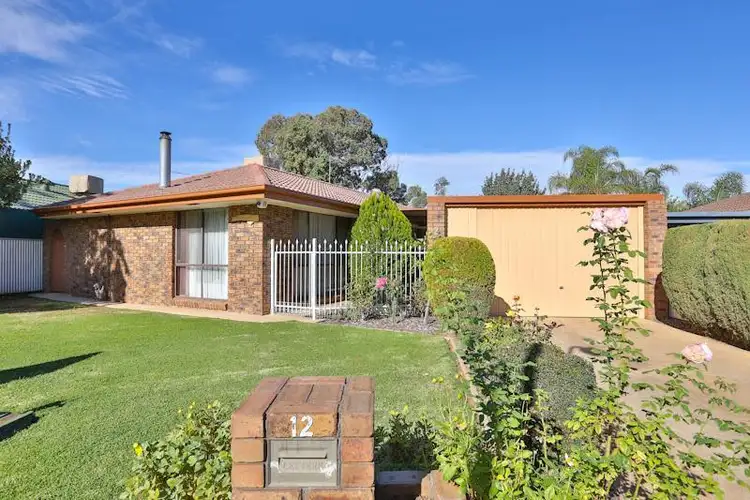 12 Flamingo Drive, Mildura VIC 3500