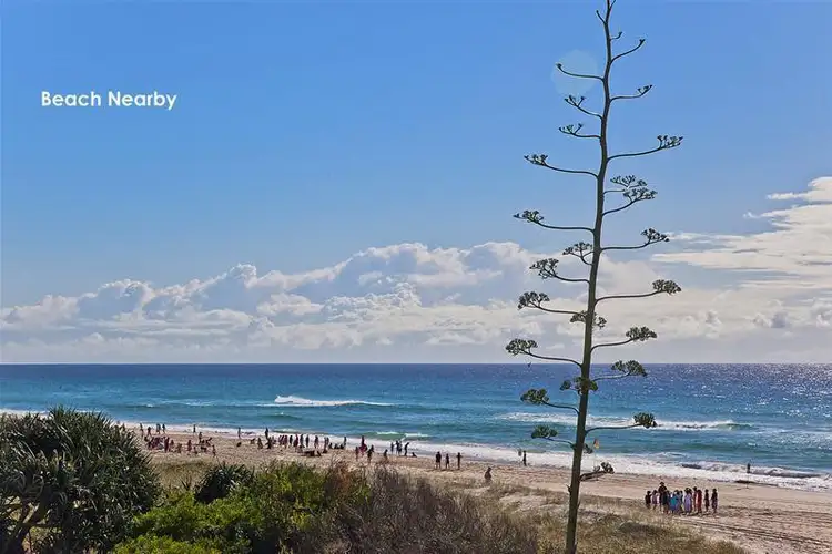 Third view of Homely unit listing, 103/1483 Gold Coast Highway, Palm Beach QLD 4221