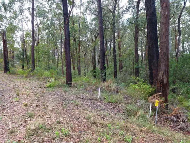 LOT 91/297 Cullendulla Drive, Long Beach NSW 2536