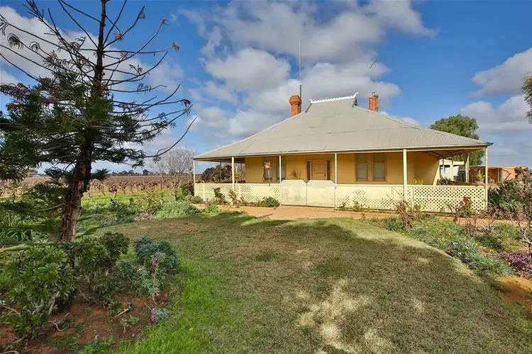 Third view of Homely rural property listing, 149 Channel Road, Merbein VIC 3505