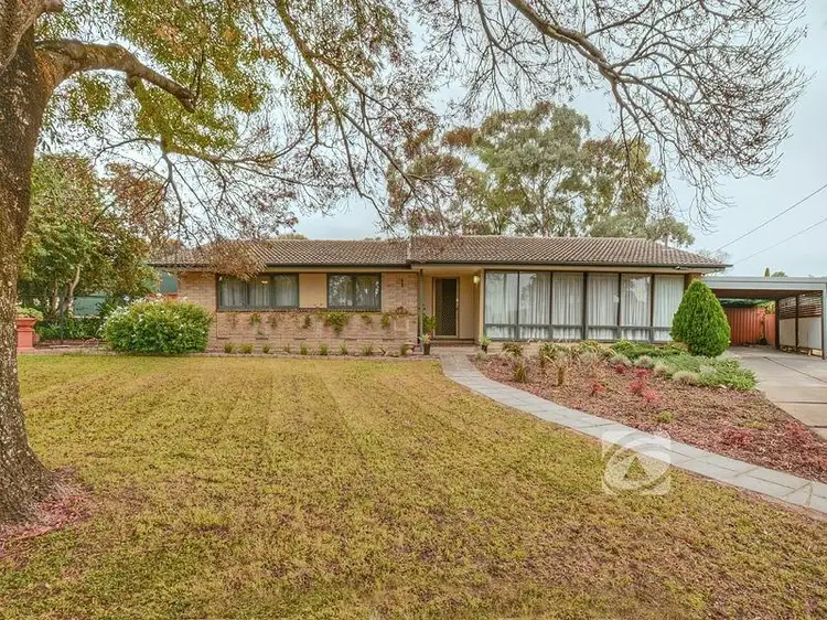 3 Field Court, Modbury North SA 5092