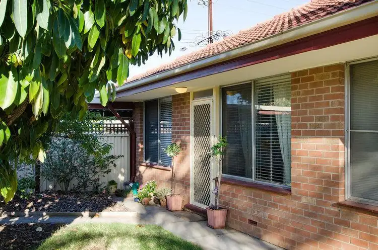 Second view of Homely unit listing, 1/49 Diagonal Road, Glenelg East SA 5045