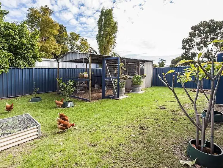 Seventh view of Homely house listing, 5 Congdon Avenue, Pinjarra WA 6208
