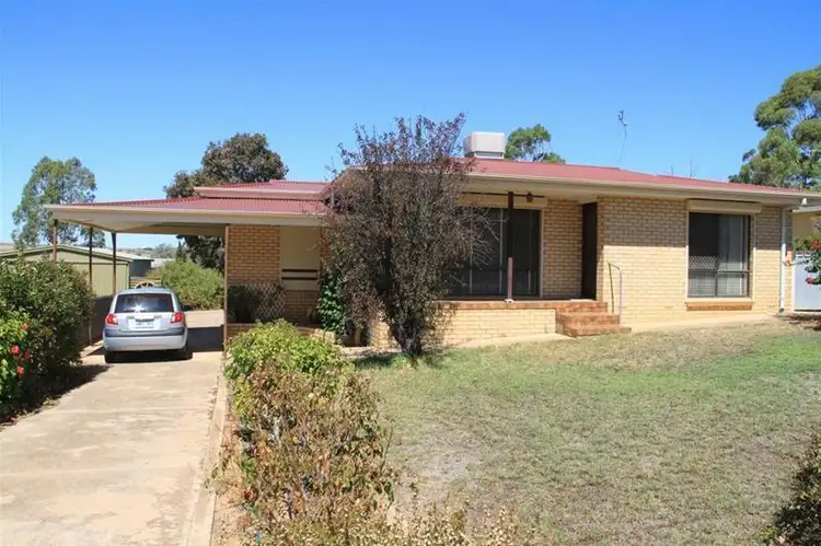 8 Hamilton Street, Mannum SA 5238