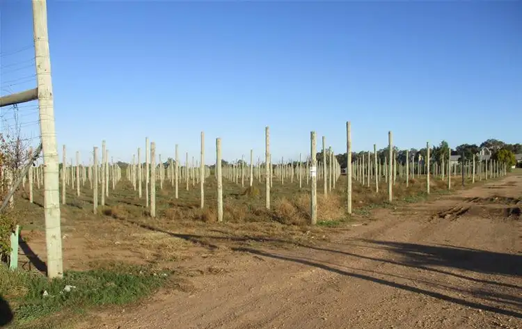 Fourth view of Homely land listing, 4 Ellis Road, Two Wells SA 5501