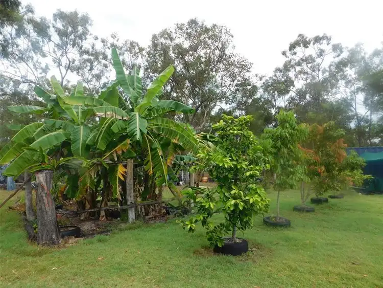 Fourth view of Homely rural property listing, 30 Howland Road, Ilbilbie QLD 4738