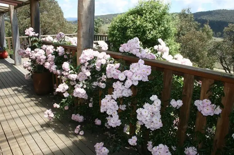 Second view of Homely house listing, 1539 Gullies Road, Jindabyne NSW 2627