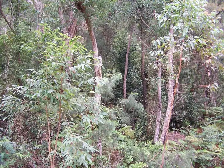 Second view of Homely land listing, Address available on request