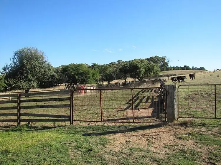 Fifth view of Homely house listing, 387 Buckland Gap Road, Beechworth VIC 3747