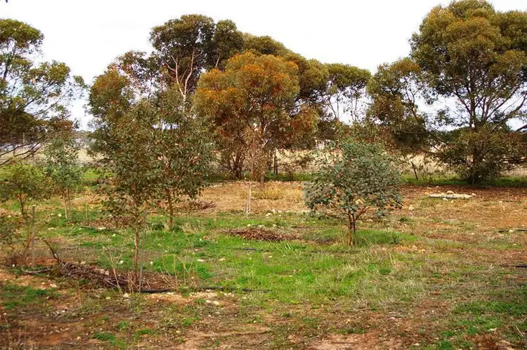 Sixth view of Homely house listing, 67 Muddy Lane, Moonta SA 5558