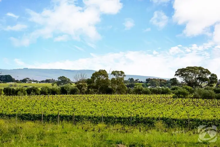 Sixth view of Homely land listing, Lot 21 Pethick  Road, Mclaren Vale SA 5171