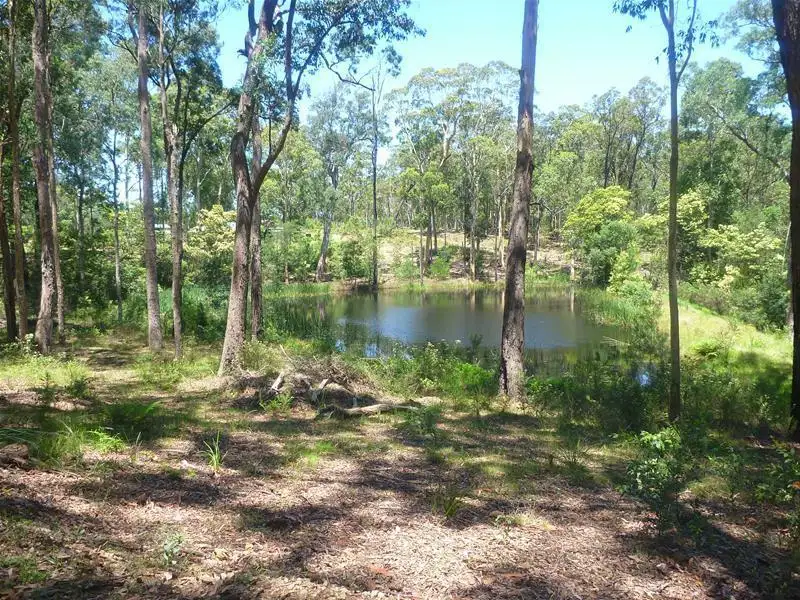 Main view of Homely land listing, LOT 5 Lot 5 Princes Highway, Bimbimbie NSW 2536