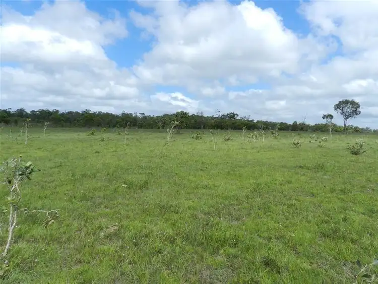 Fourth view of Homely rural property listing, 205 Ilbilbie Road, Ilbilbie QLD 4738
