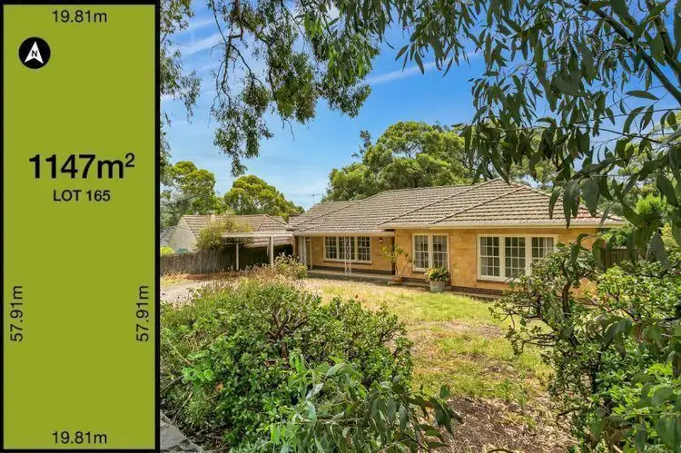 32 Montrose Avenue, Netherby SA 5062