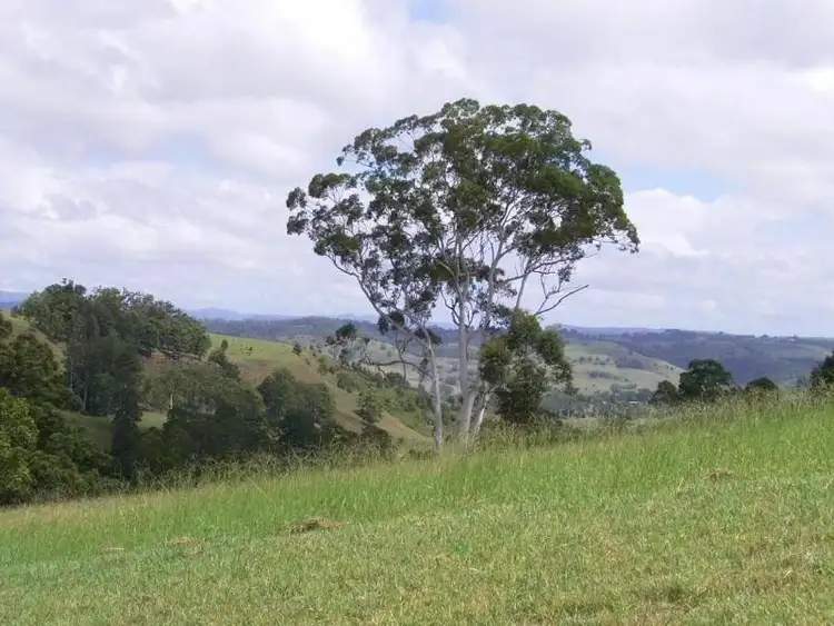 51 Funnell Drive, Modanville NSW 2480