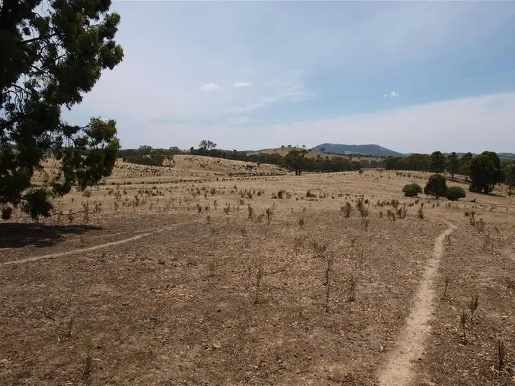 Fifth view of Homely land listing, 1150 Panyule Road, Tooborac VIC 3522