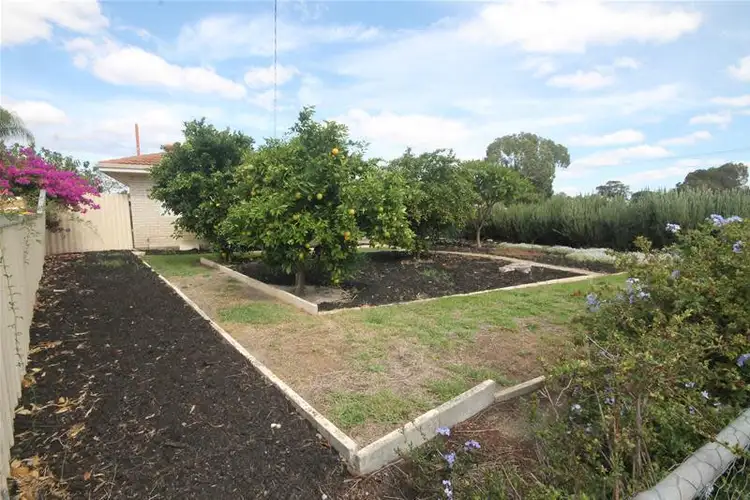 Third view of Homely house listing, 170 Third Avenue, Kelmscott WA 6111