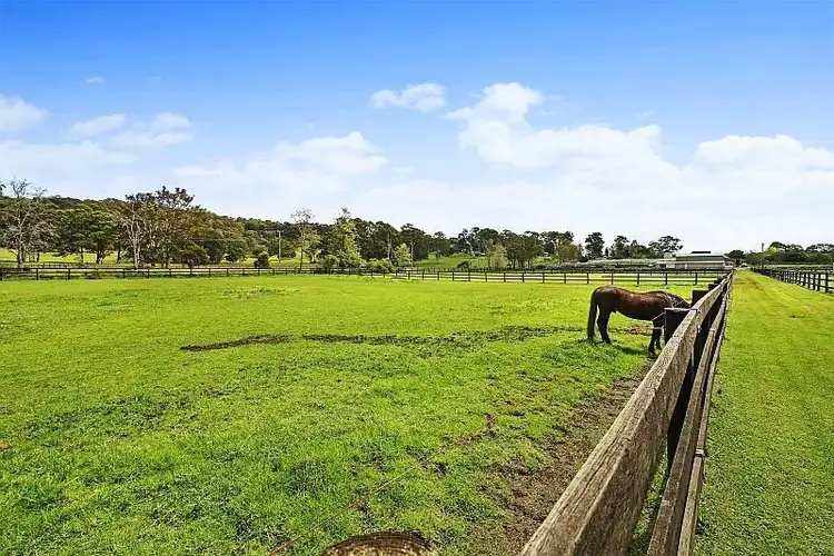 Second view of Homely rural property listing, 315 Jilliby Road, Jilliby NSW 2259
