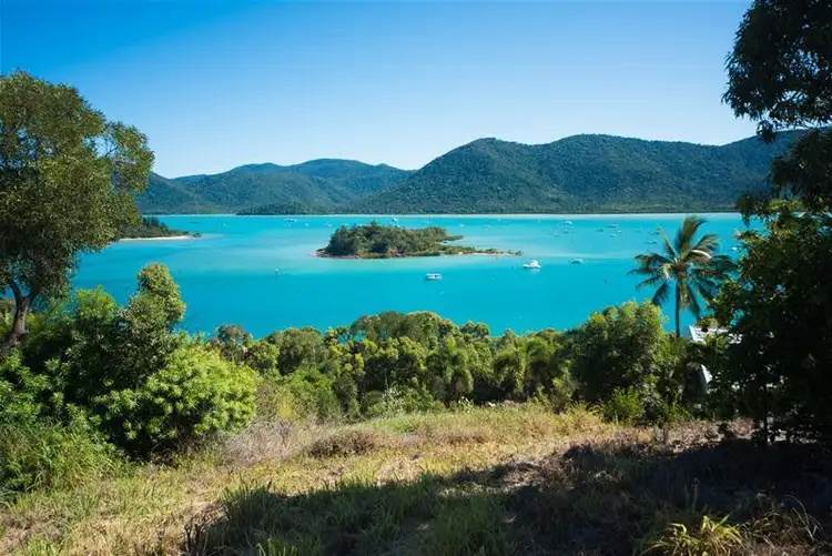 56 Harbour Avuenue, Shute Harbour QLD 4802