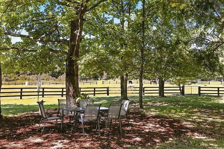 1559 Mandalong Road, Dooralong NSW 2259