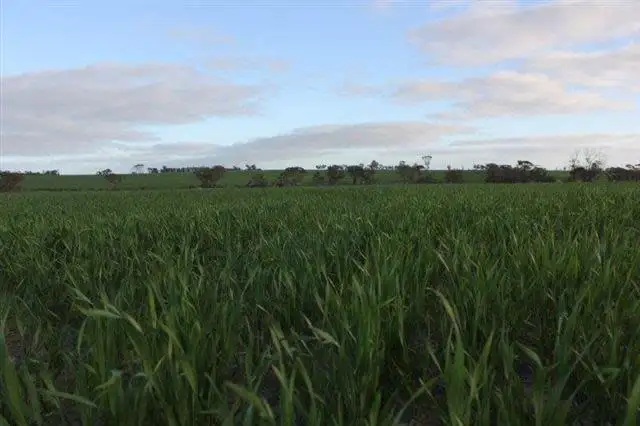 Second view of Homely land listing, Lot 5139 Waltham Road, Tammin WA 6409