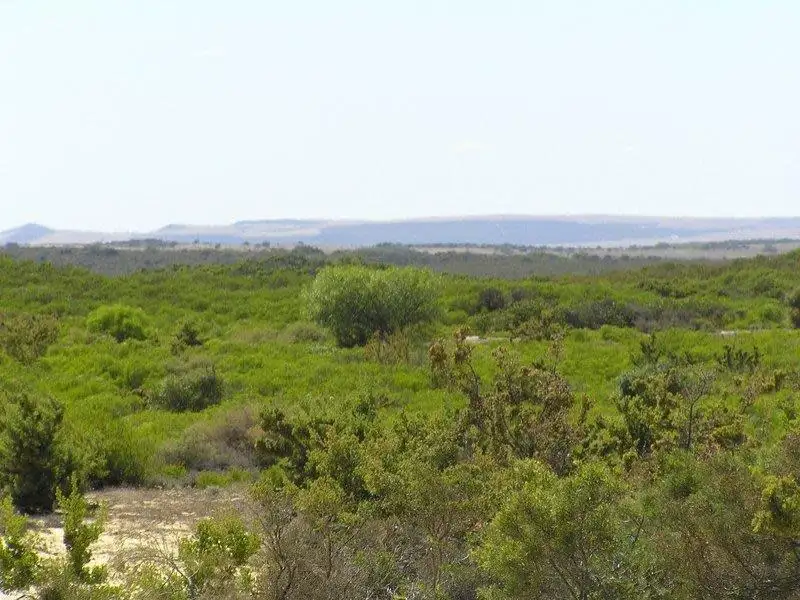 Main view of Homely land listing, Lot 82 Ridge Way, Jurien Bay WA 6516