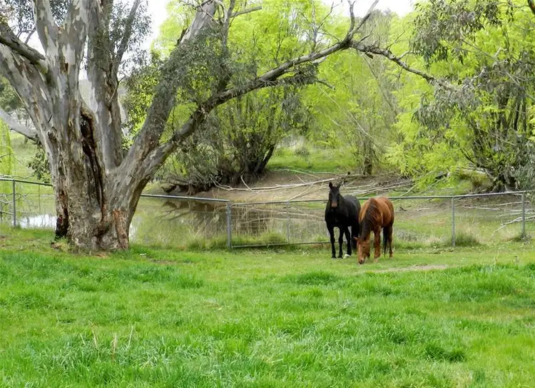 26 Woodleigh Drive, Murrumbateman NSW 2582