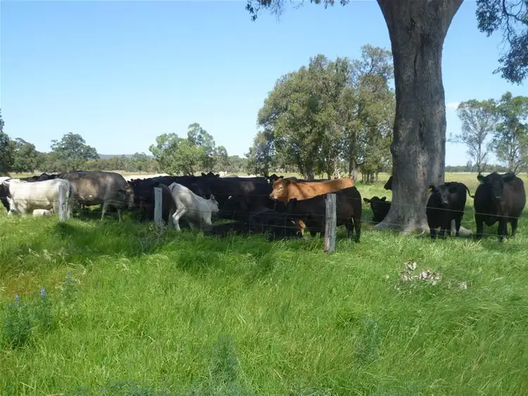 Second view of Homely land listing, 599 Karnup Road, Serpentine WA 6125